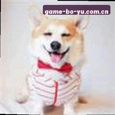 王悦