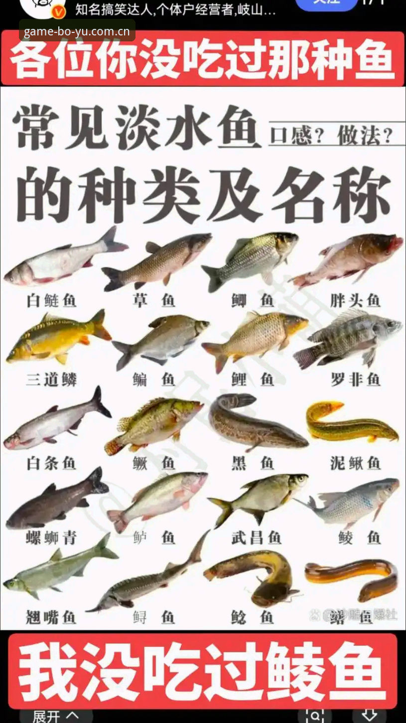 资深用户分享：博鱼官方网站下载常见问题全攻略，新手必看实战经验